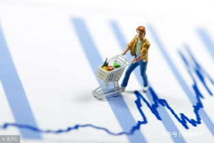 電子商務(wù)運營管理 以客戶需求為導(dǎo)向的產(chǎn)品服務(wù)實現(xiàn)